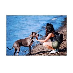 Meet your Posher, Amayrani